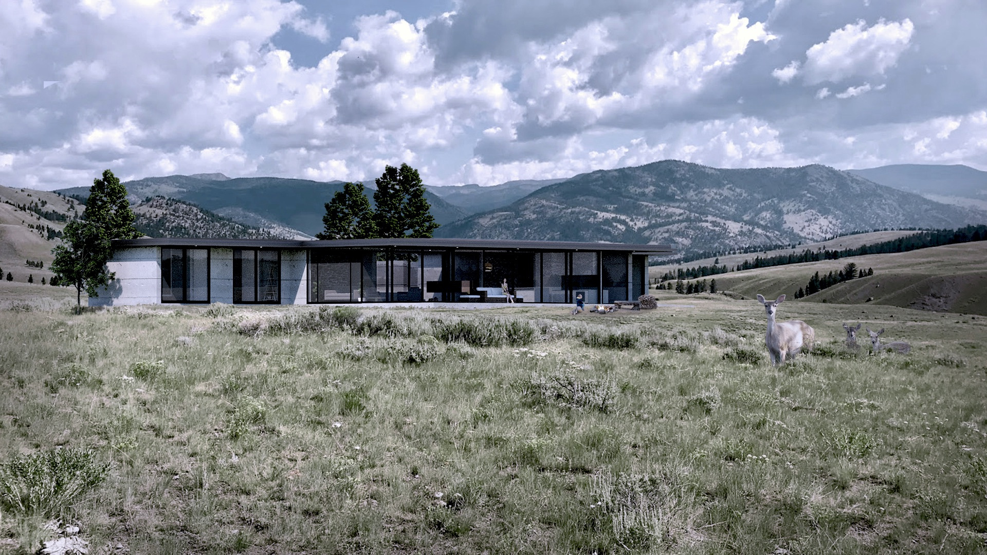 House Hill / Otago